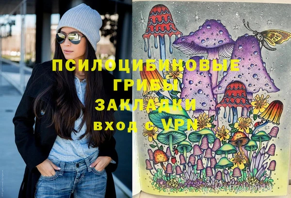 СК Строитель