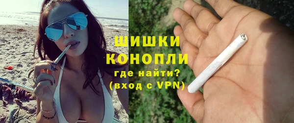 СК Строитель