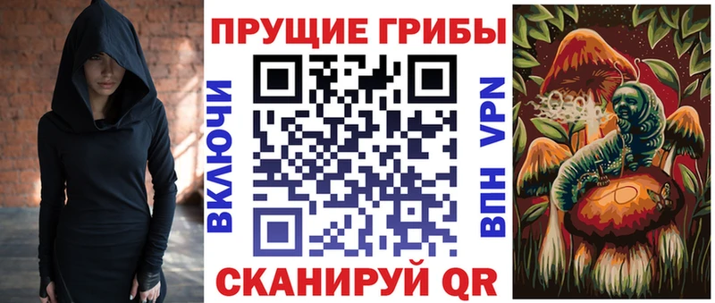 ссылка на мегу как войти  цены наркотик  Черноголовка  Псилоцибиновые грибы MAGIC MUSHROOMS 